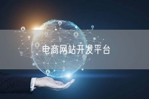 电商网站开发平台